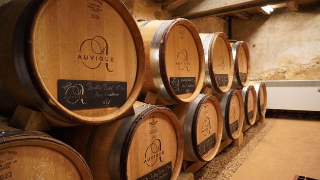 Hier rust de Chardonnay bij Maison Auvigue