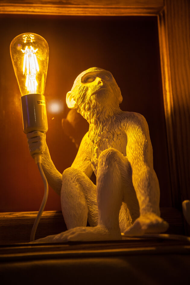 monkey-lamp