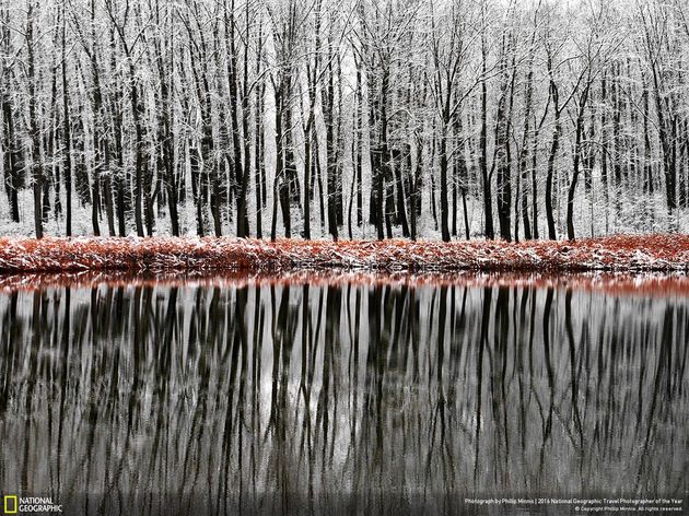 <em>Forest Reflections \/ Photo by Phillip Minnis<\/em>