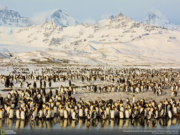 <em>Peaks & Penguins in Antarctic Sunrise \/ Photo by Shivesh R.<\/em>