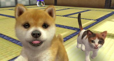 nintendogs-cats-niet-voor-de-poes.jpg