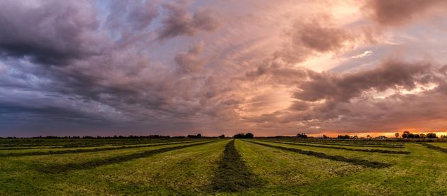 Plattelandspanorama \u00a9 Nick Knol (17 jaar).