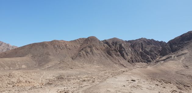 Een paar honderd km voorbij Lima veranderd het landschap