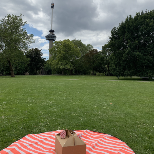 <em>Picknicken aan de `voet` van de Euromast<\/em>