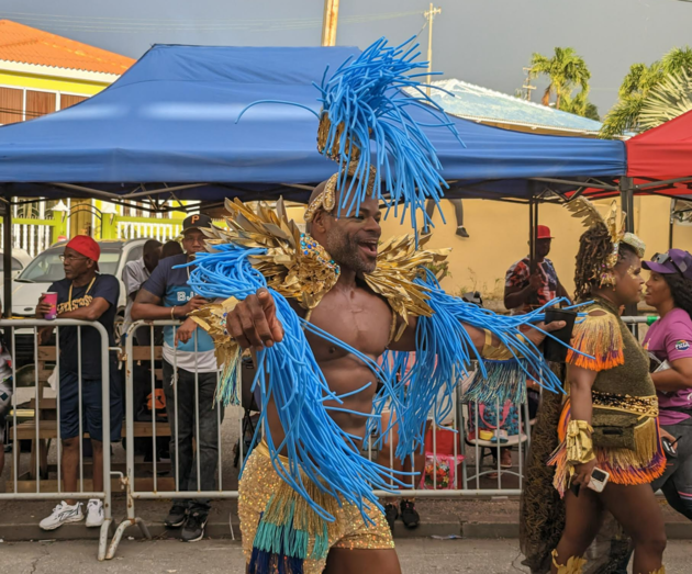 Pixel 7 Pro carnaval