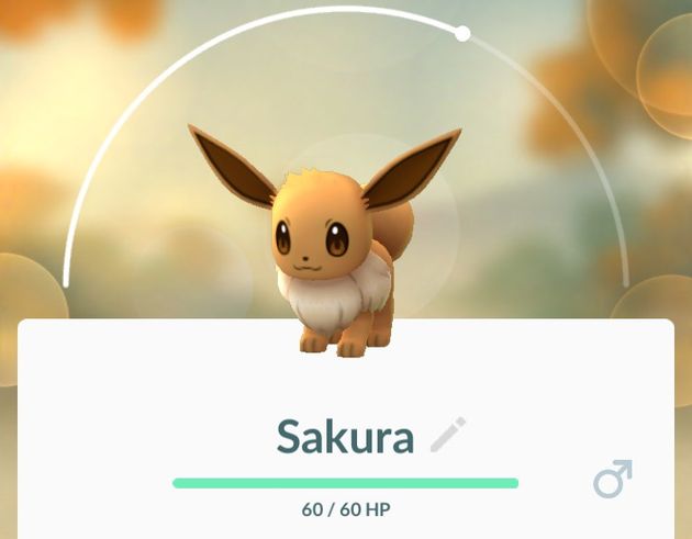 Pok\u00e9mon Go, Eevee wordt Sakura