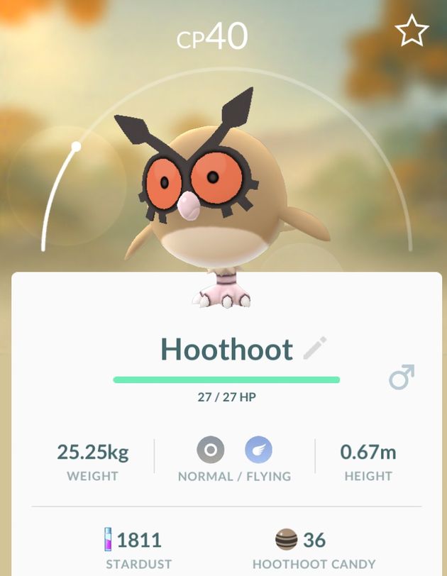 Hoothoot is duidelijk populiar