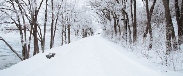 sneeuw-weg