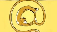 spangas-winnaar-gouden-penstaart.jpg