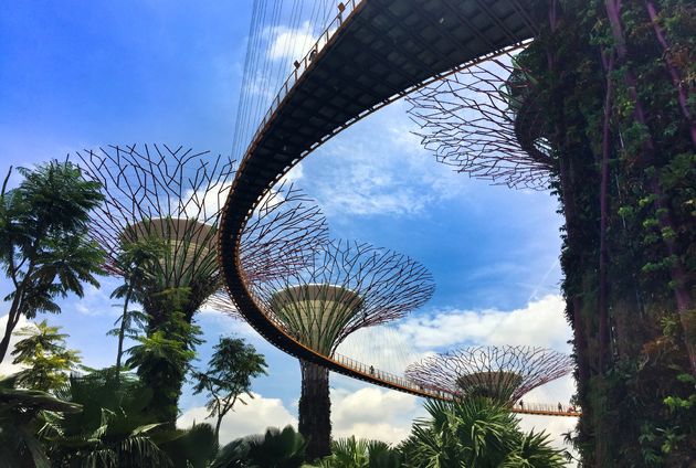 <em>Gardens by the Bay, onderdeel van de City Sights Tour.<\/em>