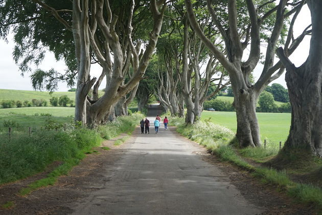 Het Dark Hedges laantje ziet zo tof uit!