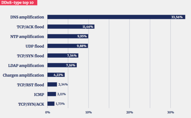 top 10 DDoS-typen