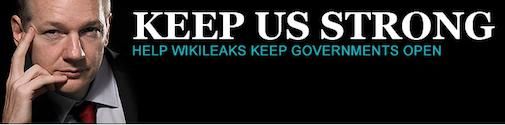 wikileaks-op-nederlands-domein-powned-bi.jpg