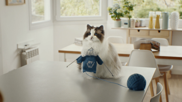Wunda - Cat - knitting