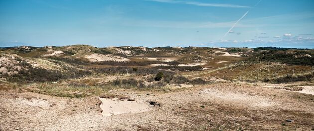 Dit weekend brullen de F1-bolides weer in de duinen bij Zandvoort.